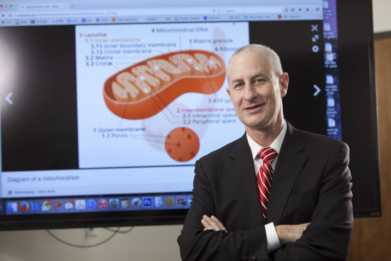 Pinchas Cohen Receives Grant for Mitochondrial Protein Research