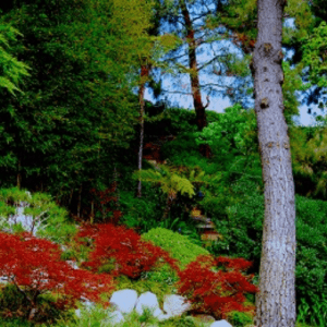 Colorful forest with red and green plants