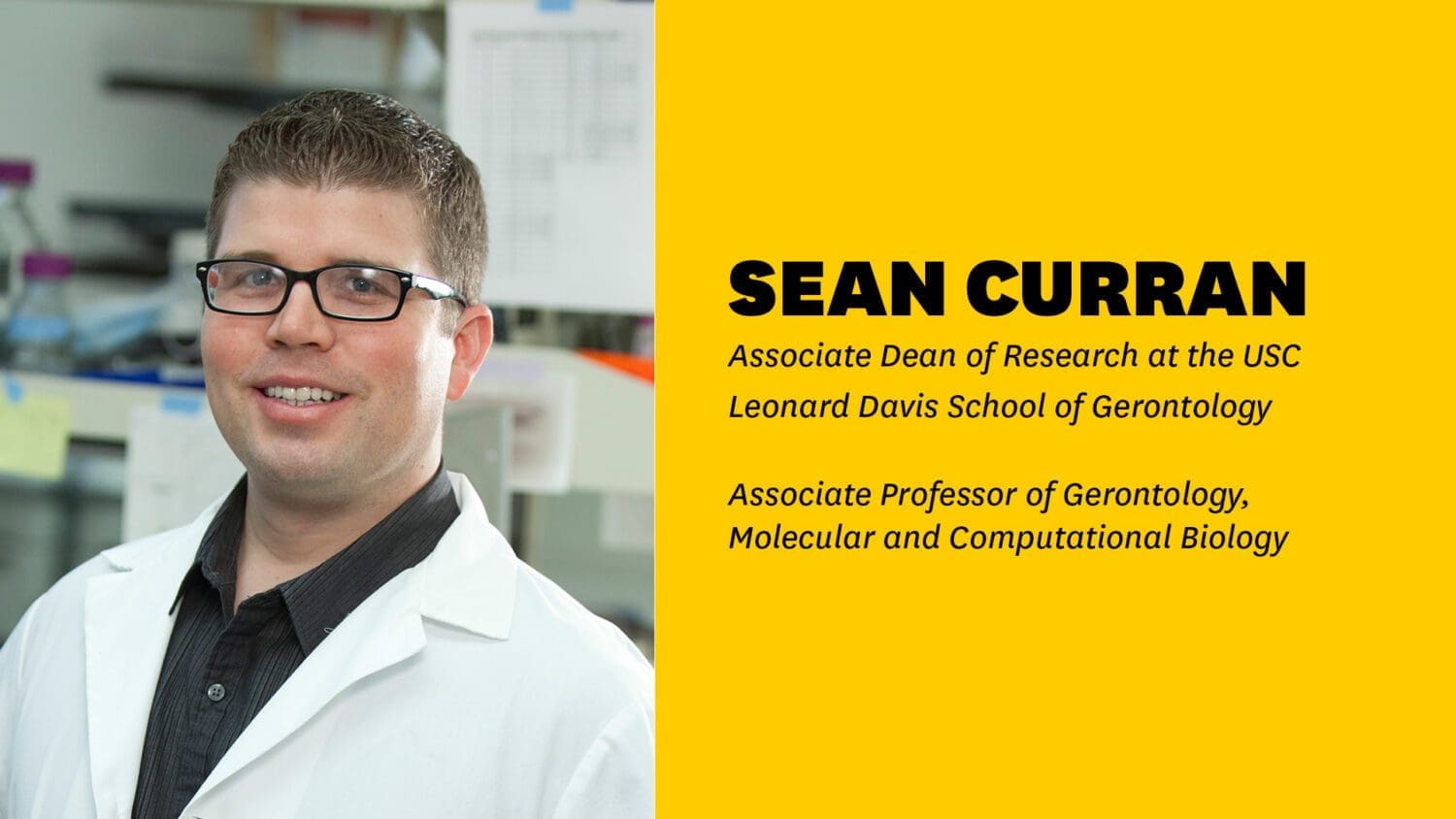 Headshot of Sean Curran with name and faculty titles