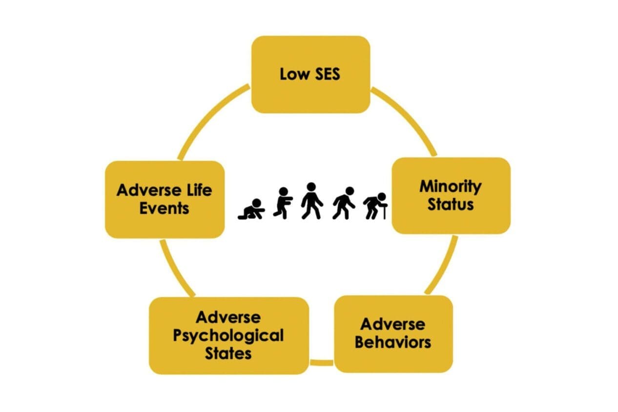 Diagram of social hallmarks of aging