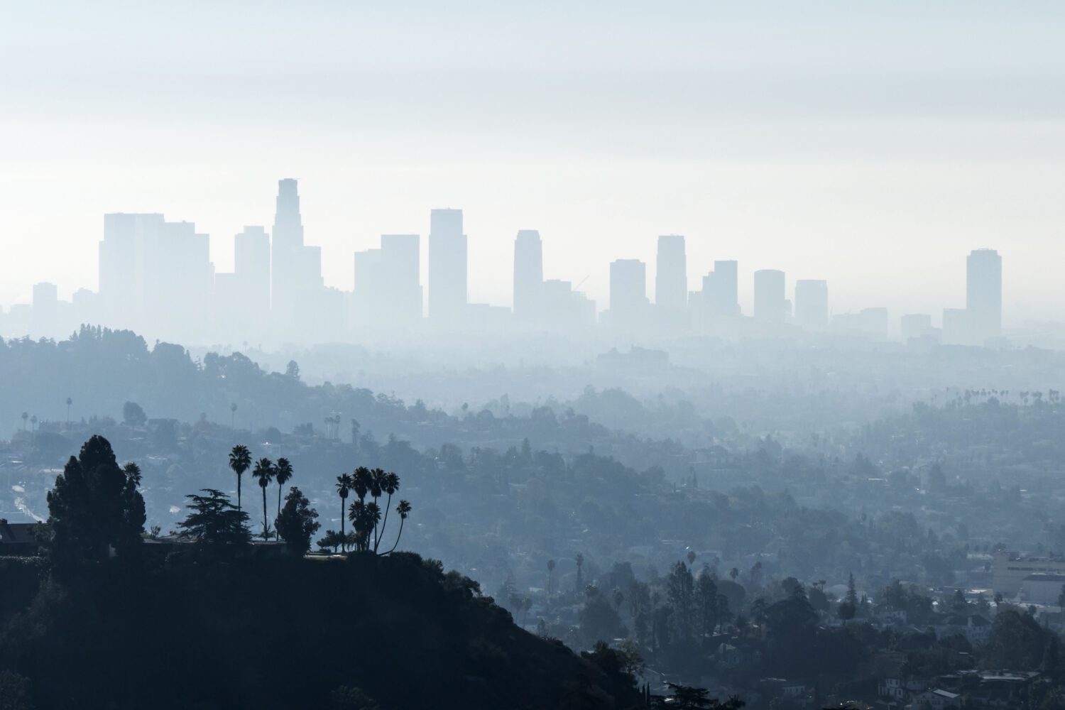 How Does Air Pollution Influence Alzheimer’s Risk?